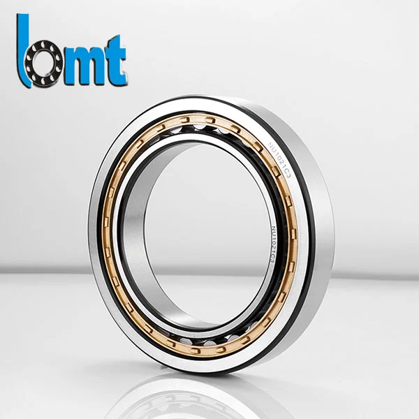 Single Row Full Complement Cylindrical Roller Bearings